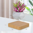 MagicGrow - Flydende bonsai potte med magnetisk levitation