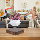 MagicGrow - Flydende bonsai potte med magnetisk levitation
