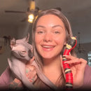 CatCharm - Magisk slangelegetøj til kat med bevægelsessensor