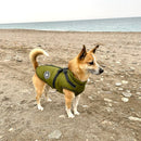PawPro - 3-i-1 hundejakke med integreret sele