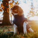 PawPro - 3-i-1 hundejakke med integreret sele