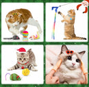 Fetchmas - Adventskalender til kæledyr med 24 legetøjer