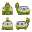 TurtleBloom - Skildpaddeformet urtepotte