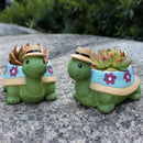 TurtleBloom - Skildpaddeformet urtepotte