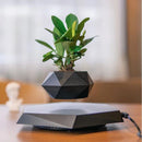 MagicGrow - Flydende bonsai potte med magnetisk levitation